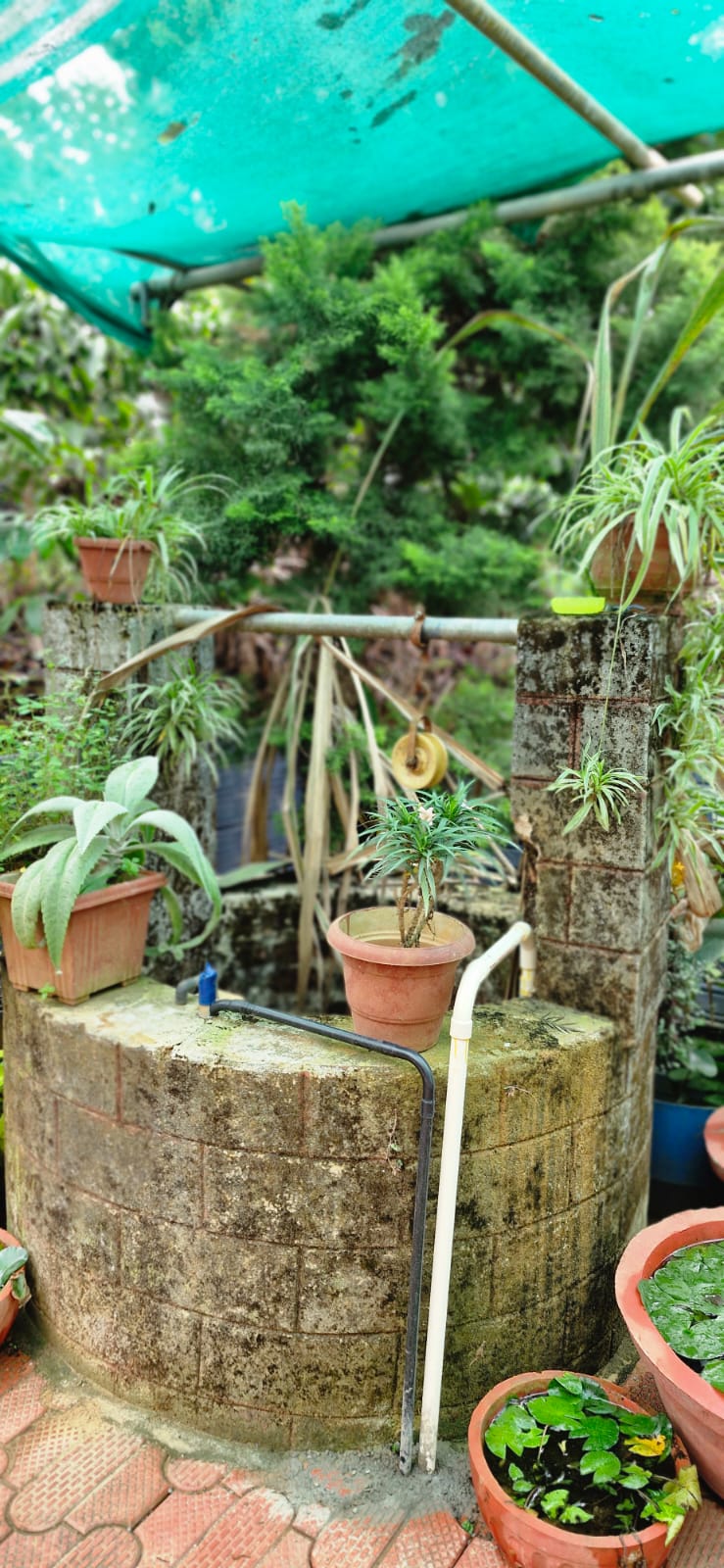 Tranquil Property Grounds